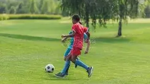 球盟会 产品 115902 e2p