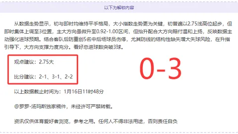 南安普敦新任主教练塞莱斯上任，执掌教鞭至赛季结束。